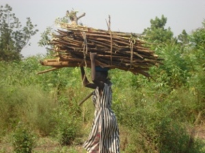 1. Women Gathering Fuelwood