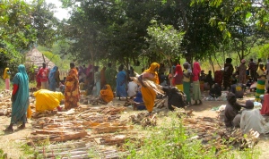 Women gathering cooking fuel in Sherkole Camp.