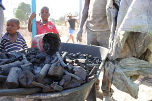 haiti charcoal kids